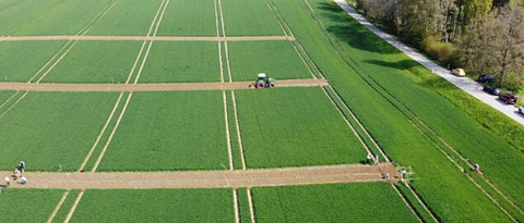 Foto mit Agroforstkultur, Acker- und Gehölzflächen