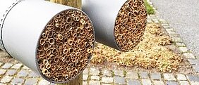 Solche Nisthilfen für Wildbienen sind ab sofort an sechs Standorten in Würzburg zu finden. (Foto: Rapahel Binder) 