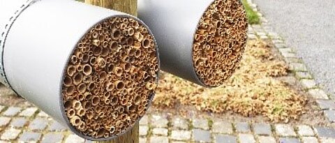 Solche Nisthilfen für Wildbienen sind ab sofort an sechs Standorten in Würzburg zu finden. (Foto: Rapahel Binder) 