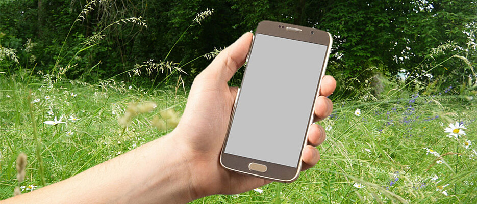 Smartphone Apps können zur Bestimmung von Pflanzen verwendet werden.