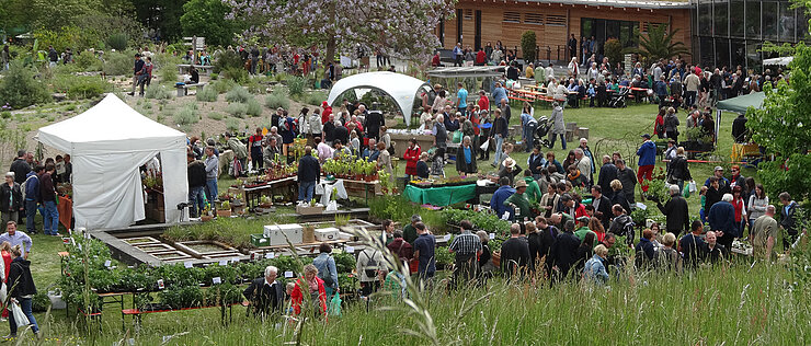 Umfangreiches Angebot, fachkundige Beratung und viele Besuchende: Die Pflanzenbörse ist jedes Jahr ein Highlight im Jahresprogramm des Botanischen Gartens.