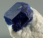 Hier sieht man einen Lasurit Kristall.  umgebener tiefblauer Kristall in weißem Marmor.