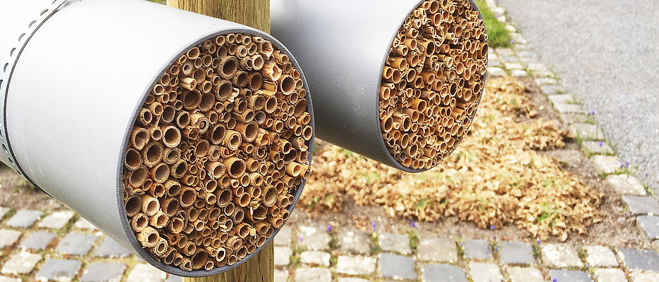 Solche Nisthilfen für Wildbienen sind ab sofort an sechs Standorten in Würzburg zu finden.