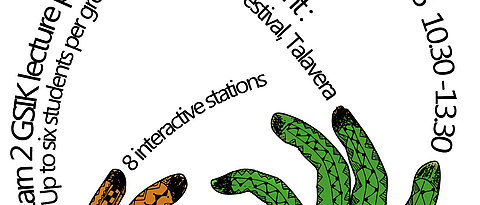 Flyer zur African Cultural Safari 2012