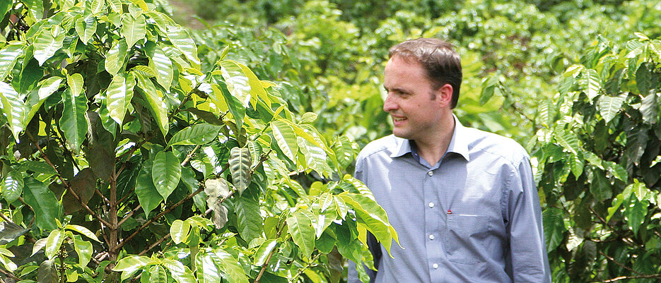 Thomas Eckel walking through a coffee plantation.