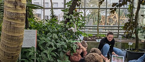 Eine Studentin erarbeitet mit den Schüler:innen die Schritte der Kakaoernte.