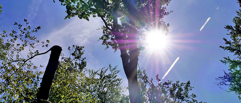 Das ganze Jahr überdurchschnittliche Temperaturen und im Sommer zu trocken: Mainfranken ist schon heute die Blaupause für Veränderungen, die der Klimawandel anderenorts erst in ein paar Jahren nach sich ziehen wird.