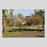 Frühling auf dem Beachvolleyballplatz des Würzburger Uni-Campus am Hubland. Foto: Robert Emmerich